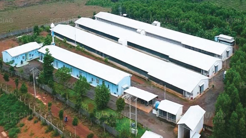 Cho thuê trang trại