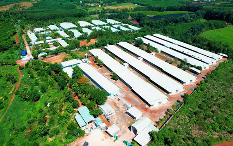 Nông nghiệp công nghệ cao