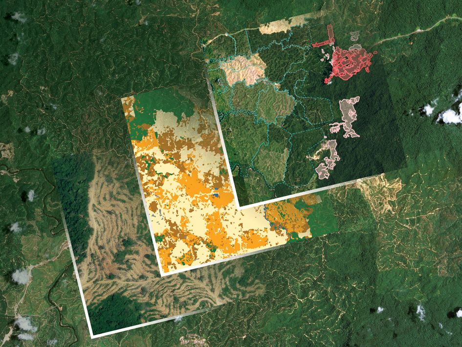 Giám sát rừng bằng vệ tinh