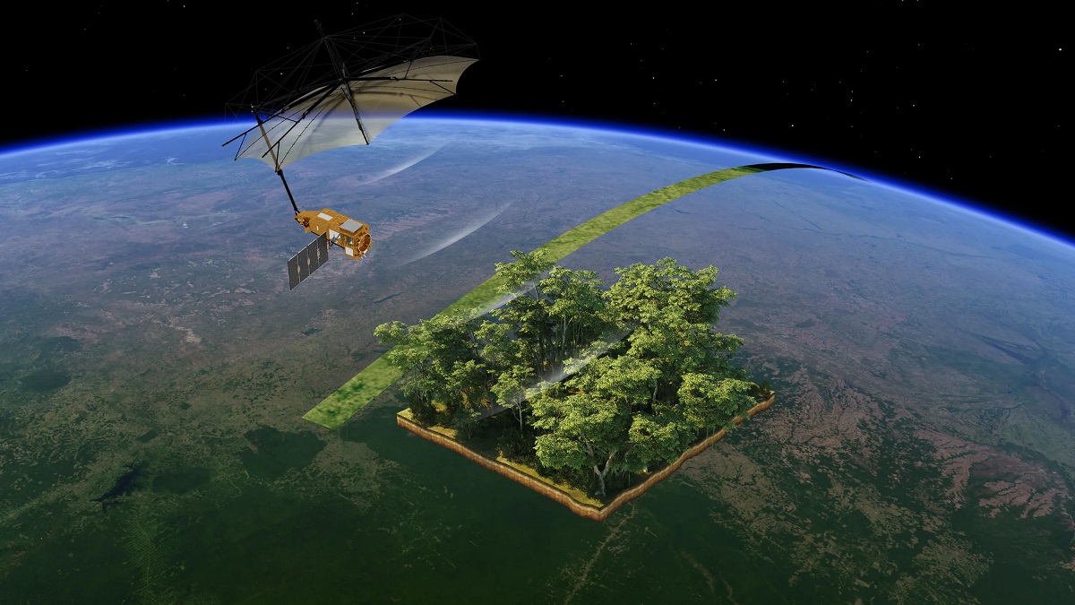 Giám sát rừng bằng vệ tinh